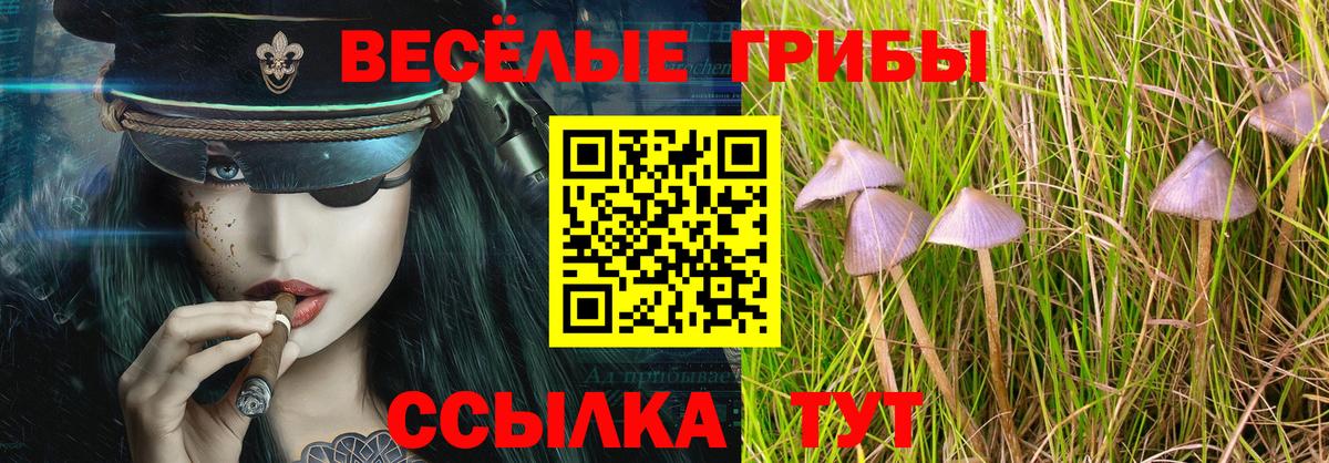 Псилоцибиновые грибы мухоморы Ачинск